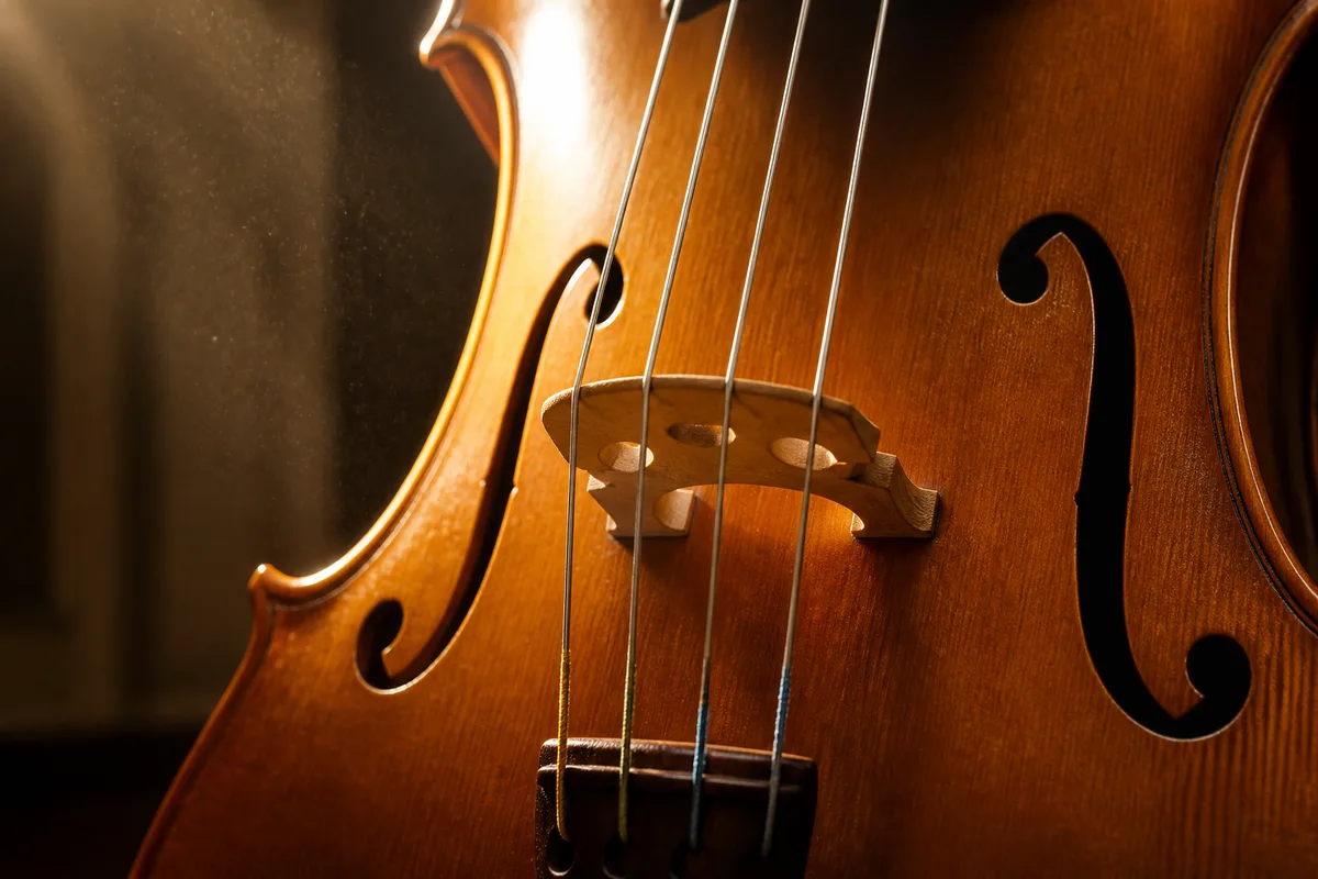 Cordes d’un violoncelle en gros plan à contre-jour